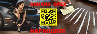 Альфа ПВП Кингисепп