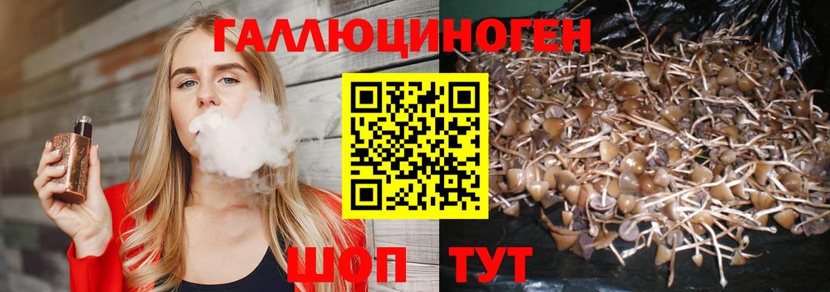 Галлюциногенные грибы Magic Shrooms  Псилоцибиновые грибы ЛСД  Кстово  Вход с VPN 