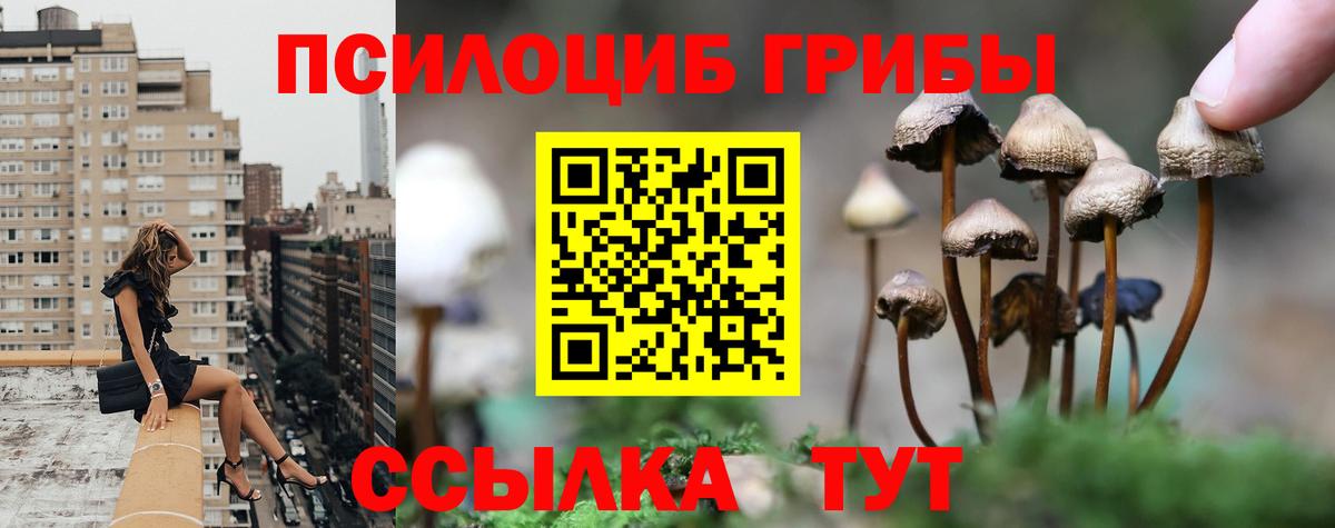 Псилоцибиновые грибы Cubensis Кстово